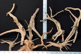 (165) Spiderwood Med size