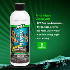 Fritz Algae Clean Out